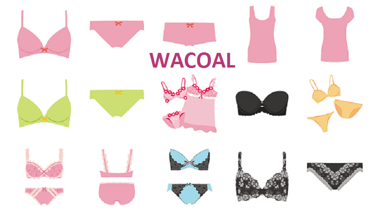 3591ワコール自社株買い20235